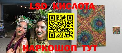 крисы Гусев