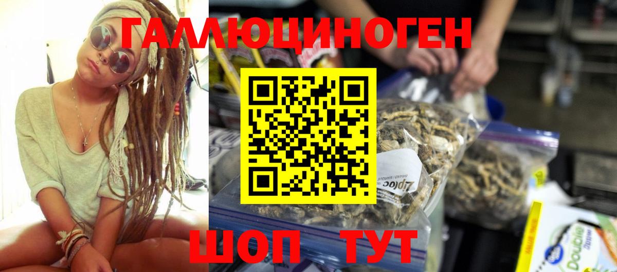Псилоцибиновые грибы прущие грибы Лесосибирск